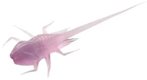 13 Fishing Spiningavimo masalas 13Fishing B.A.M.F. 3cm (6 vnt.)