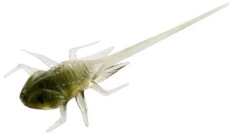 13 Fishing Spiningavimo masalas 13Fishing B.A.M.F. 3cm (6 vnt.)