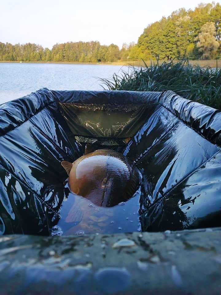 Matas karpių žūklei Carp Expert