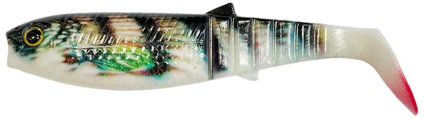 Miracle Fish Spiningavimo masalas MiracleFish 3D 10cm (2 vnt.)