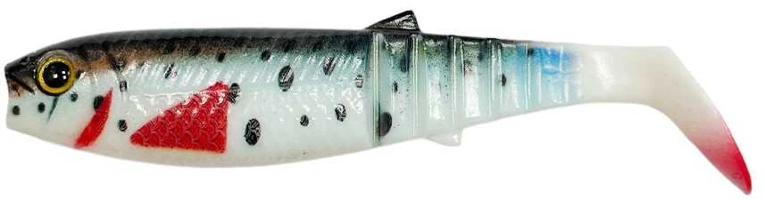 Miracle Fish Spiningavimo masalas MiracleFish 3D 10cm (2 vnt.)