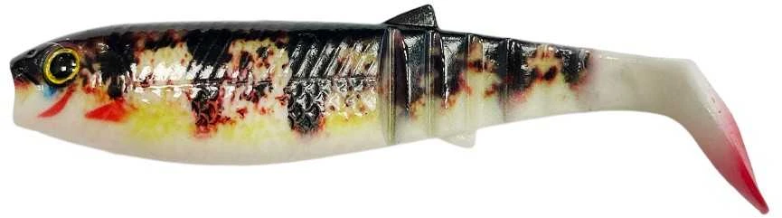 Miracle Fish Spiningavimo masalas MiracleFish 3D 10cm (2 vnt.)