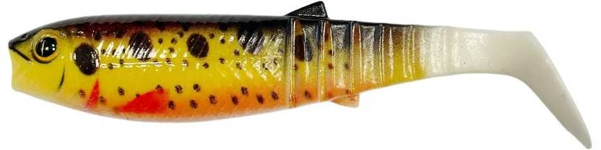 Miracle Fish Spiningavimo masalas MiracleFish 3D 10cm (2 vnt.)