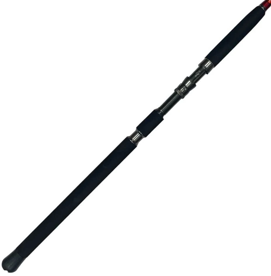 Šaminė meškerė FL Pro FLX River 3m 70-300g