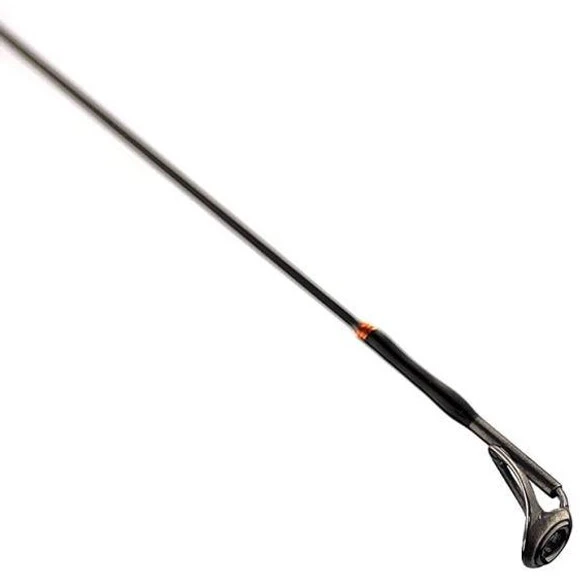Spiningas Favorite Totem 2.41m 2-10g