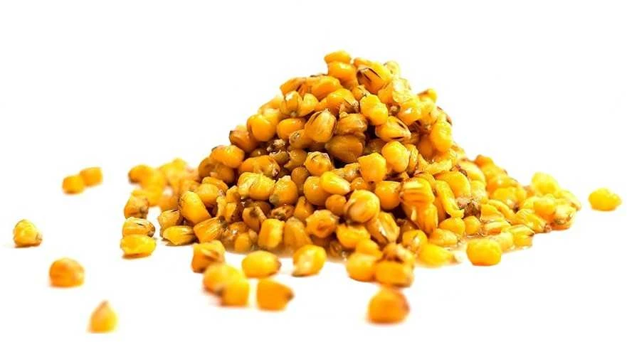 Vakuumuoti kukurūzai Carp Seeds 1kg - Tigernut