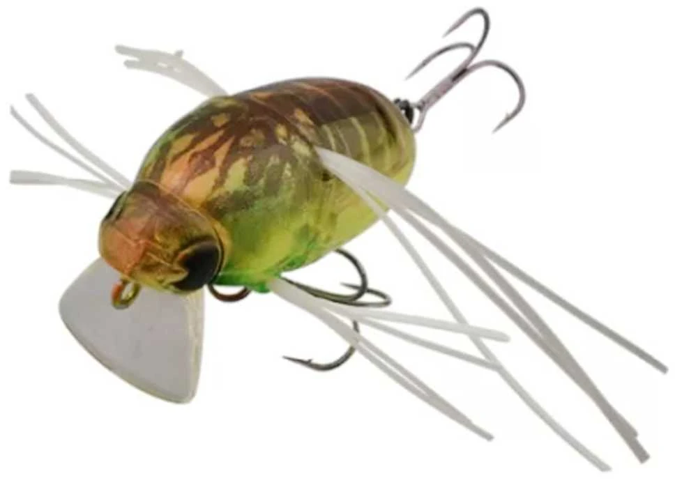 Vobleris Jackall Chubby Bug 35 3,7g