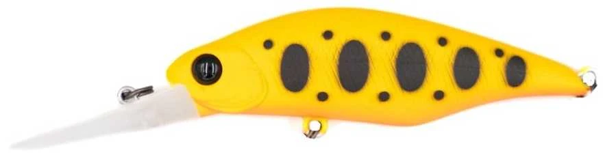 Vobleris Pontoon21 Chaos 72F DR