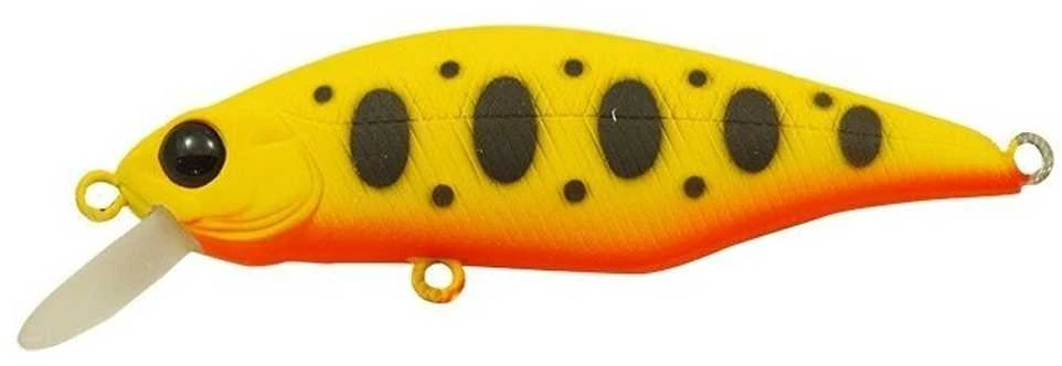 Vobleris Pontoon21 Chaos 72F SR