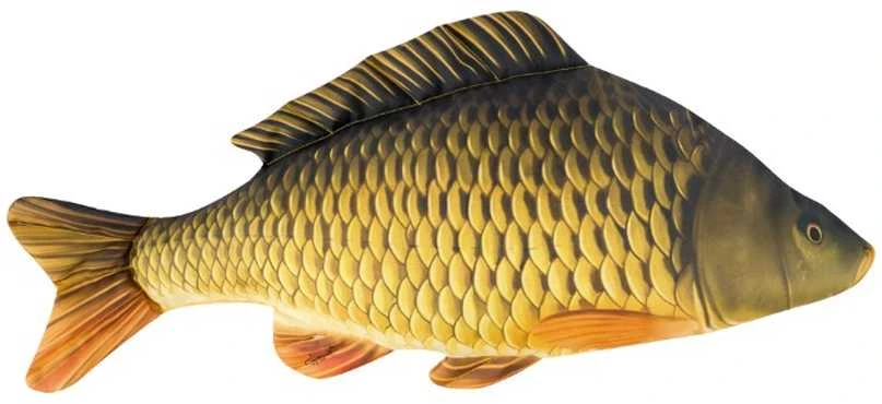 Žaislas EnergoFish Pillow Carp 60cm