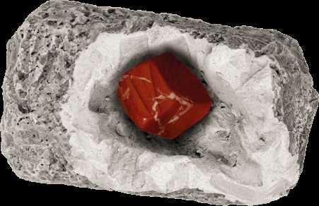 Kosmos Detalės DIG lt! MINERALS & FOSSILS 5+