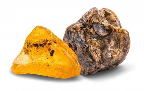 Kosmos Lavinamasis rinkinys DIG OUT FOSSILS 7-11