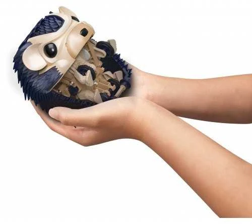 Kūrybos rinkinys Kosmos Nuna