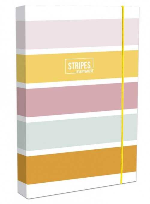 Lastva Aplankas su guma STRIPES 20mm