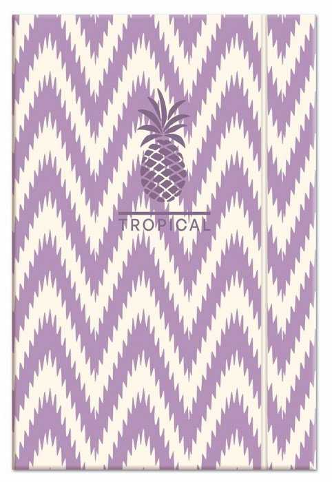 Lastva Aplankas su guma TROPICAL 220x320x30mm