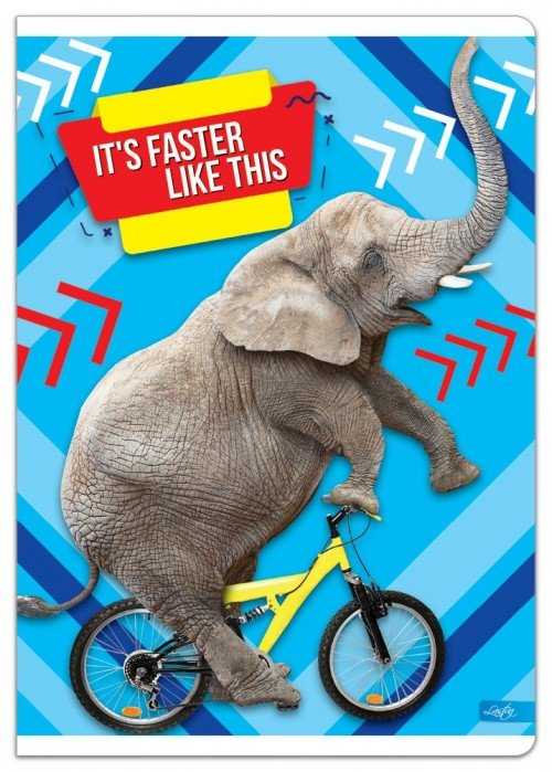 Lastva Sąsiuvinis A4 52lap 80g lang BE COOL