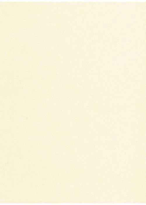Dekoratyvinis popierius Curious, A4, 120g, Metallics Baltas Gold, blizgus (50)