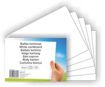 Kartonas SMLT, A4, 300g, 10 lapų , baltas