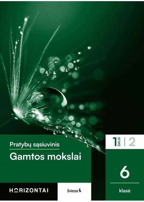 KNYGA Šviesa Gamtos mokslai. Pratybų sąsiuvinis 6 klasei, 1 dalis, serija Horizontai