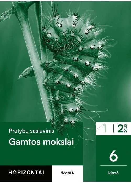 KNYGA Šviesa Gamtos mokslai. Pratybų sąsiuvinis 6 klasei, 2 dalis, serija Horizontai