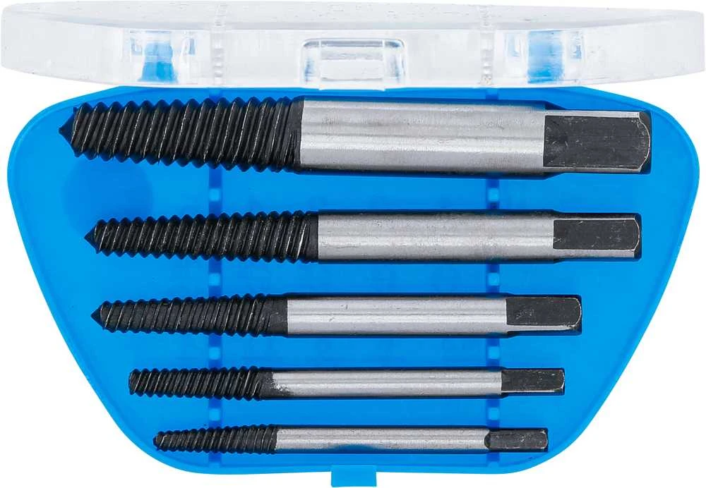 Bgs Technic Užlūžusių varžtų sraigtiniai ištraukikliai | dydžiai 1 - 5 | 5 vnt. (1895)