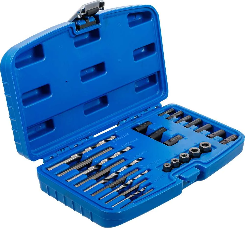 Bgs Technic Varžtų išsukėjų rinkinys HSS | 25 vnt. (8462)