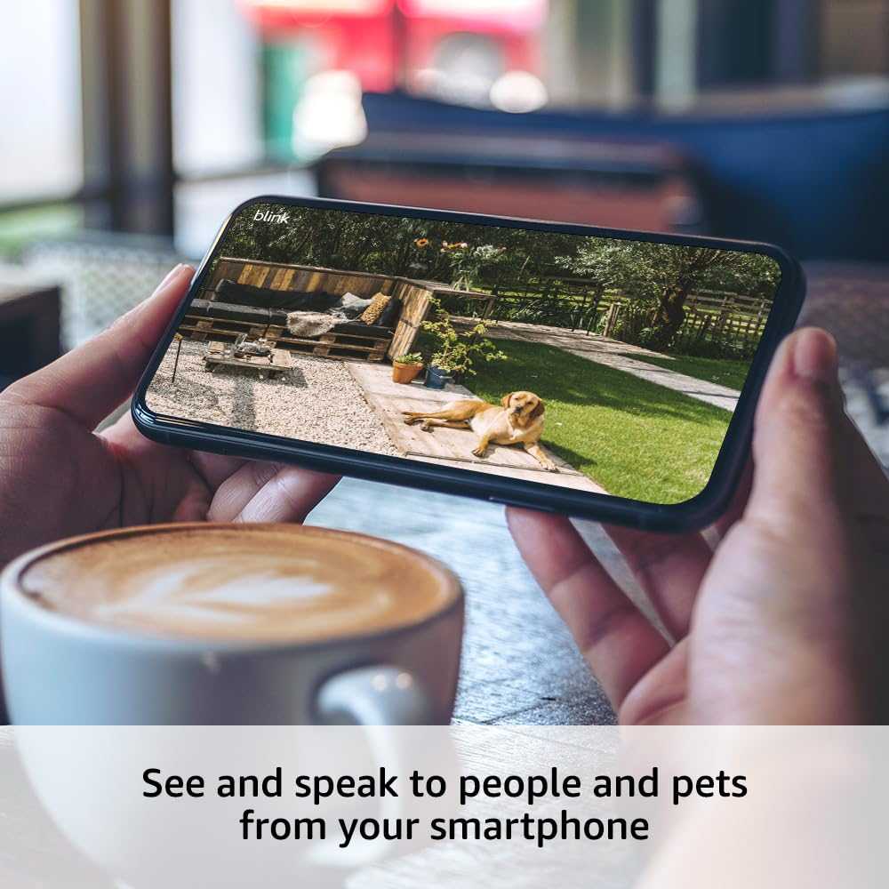 Amazon Blink Outdoor 4 Two Cameras