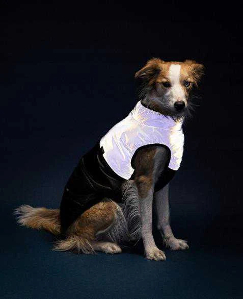 Ami Play Amiplay JACKET FOR DOGS FLUO Juodas. Baltas 30
