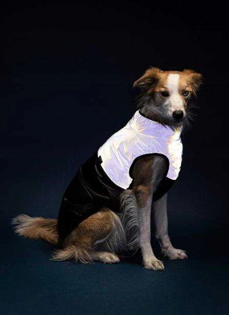 Ami Play Amiplay JACKET FOR DOGS FLUO Juodas. Baltas 25