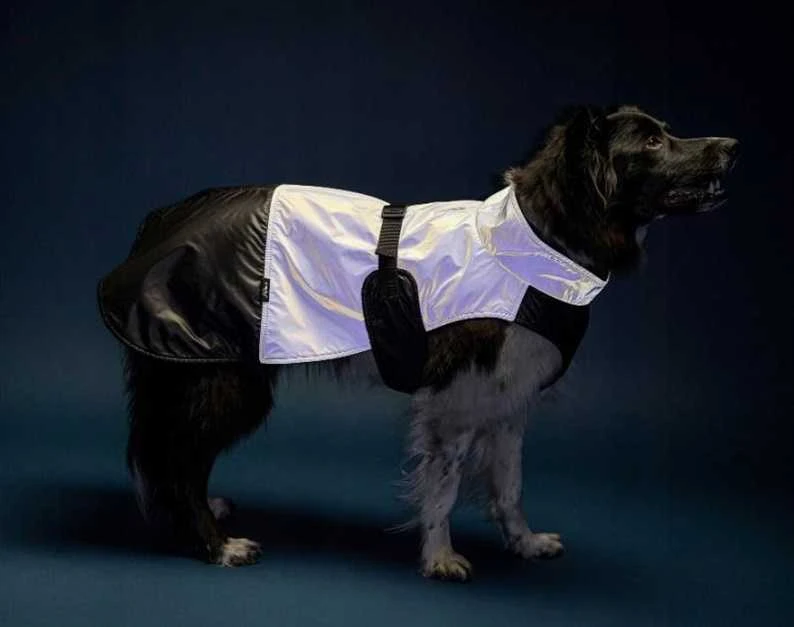 Ami Play Amiplay JACKET FOR DOGS FLUO Juodas. Baltas 35