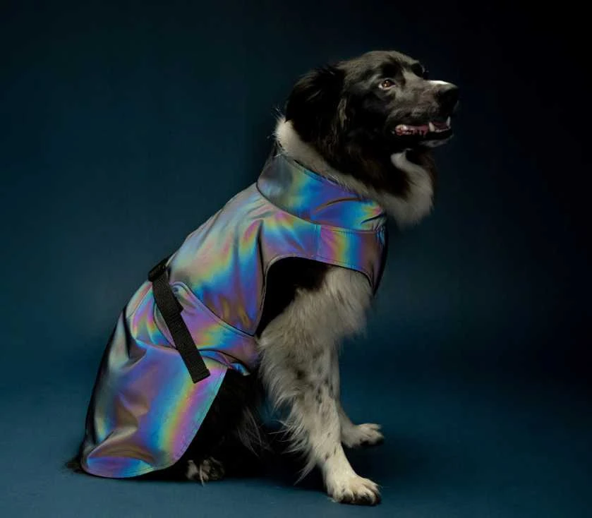 Ami Play Amiplay JACKET FOR DOGS PETROL Pilkas 45