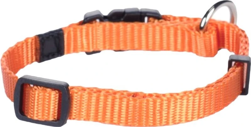 Flamingo DOG COLLAR ZIGGI Oranžinis 30-45CM 15MM