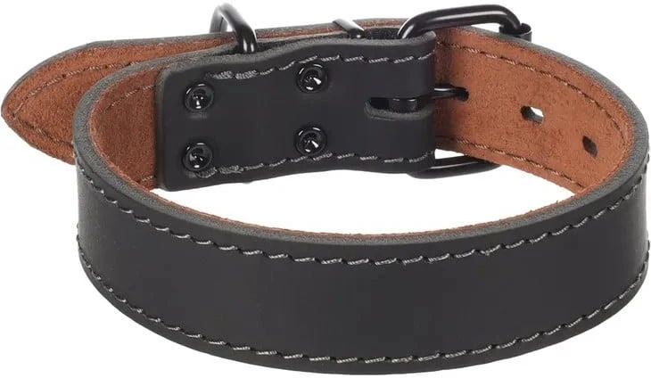 Flamingo DOG COLLAR MONTANA Juodas 35-45CM 35MM