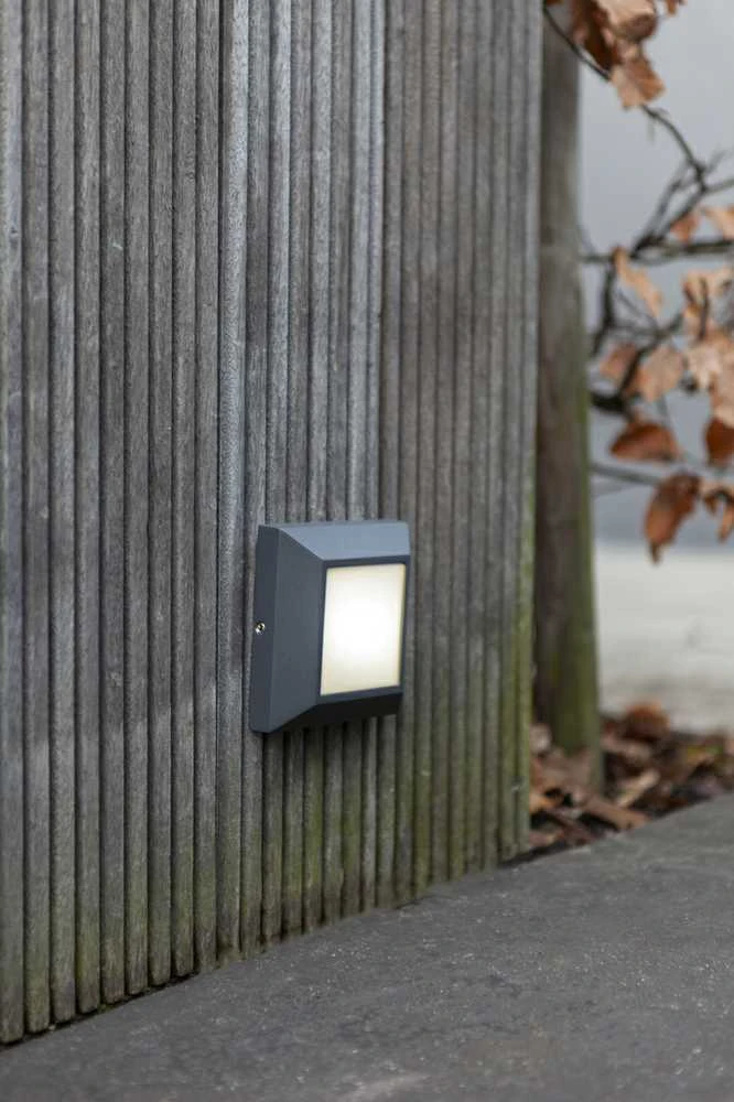Sieninis šviestuvas Šviestuvas Lutec HELENA 6402101118, 4W, LED, IP54, antracito