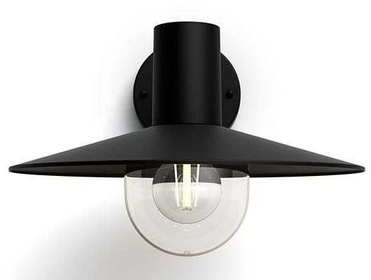Sieninis šviestuvas Tvirtinamas šviestuvas Philips Skua 1X42W E27