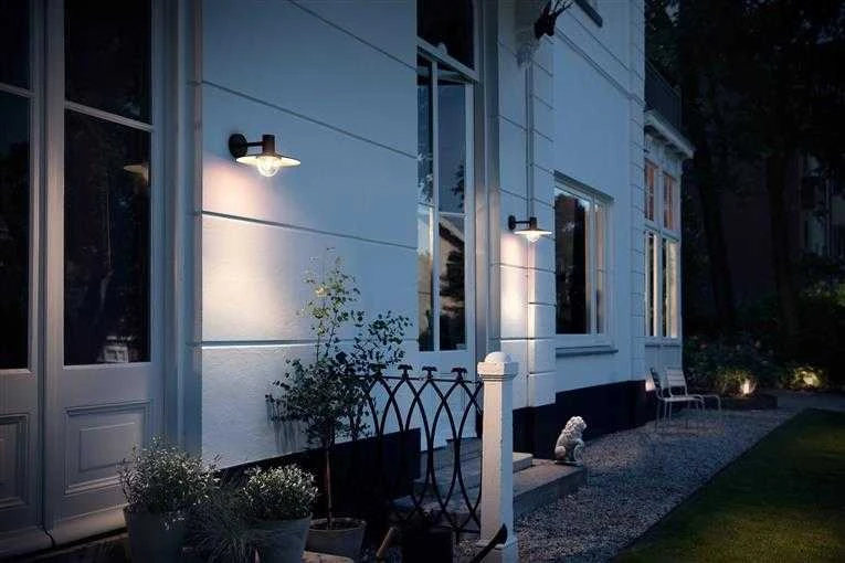 Sieninis šviestuvas Tvirtinamas šviestuvas Philips Skua 1X42W E27
