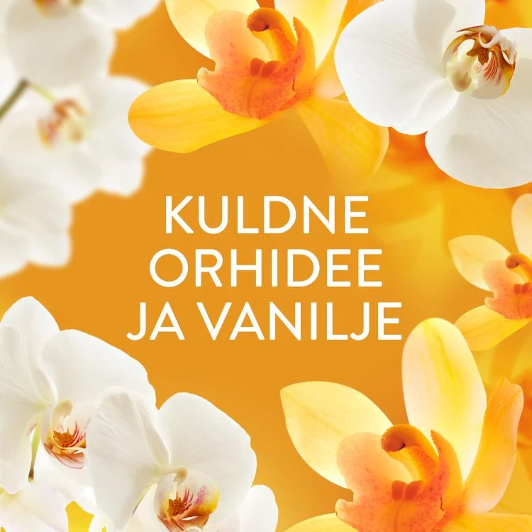 LENOR Audinių Minkštiklis Gold Orchid & Vanilla 2.65 L (126 Skalbimai)