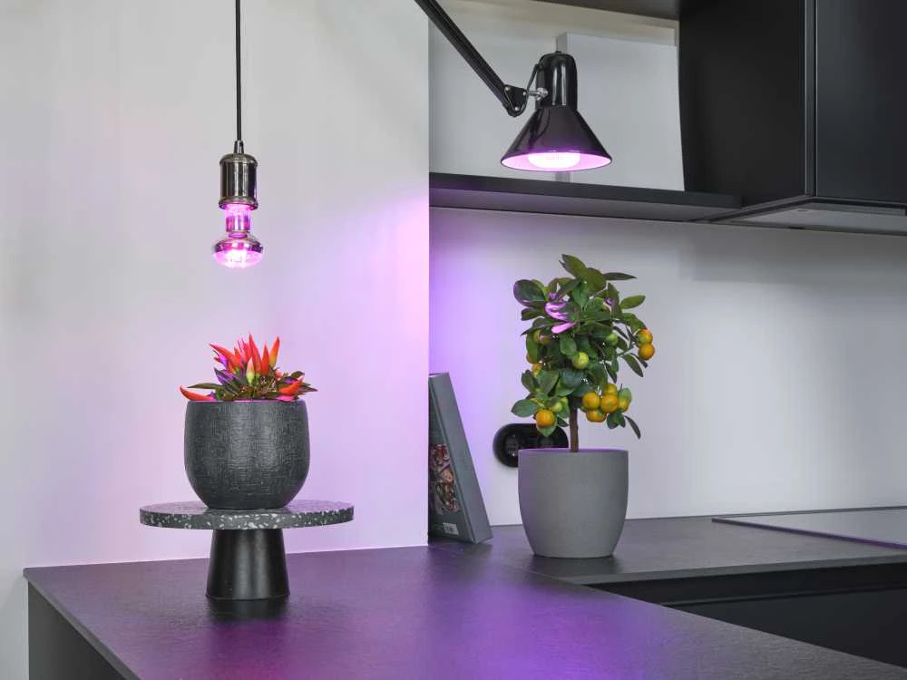 Lemputė LED Osram E27 20W 650lm