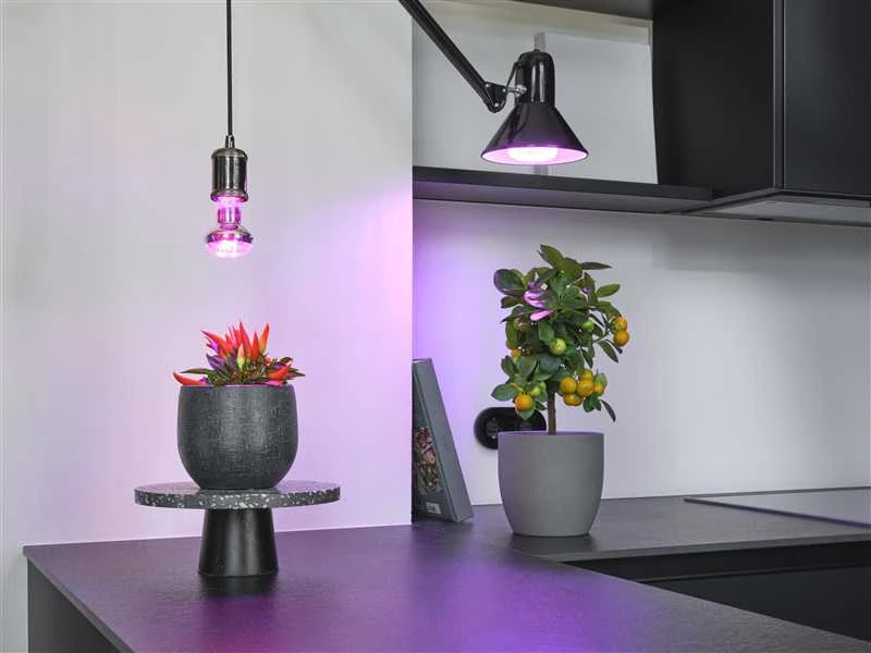 Augu augšanas gaisma Osram LED, E27, balta, E27, 20 W, 650 lm