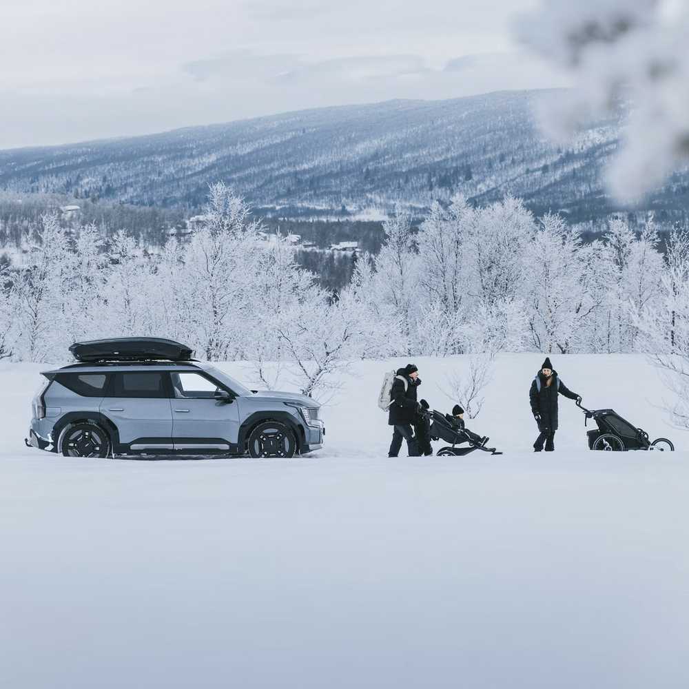 Automobilio stogo bagažinė Thule Motion 3 L, titano