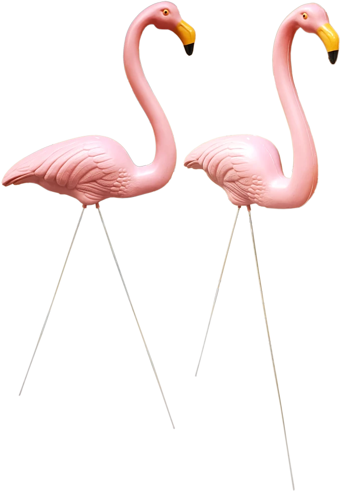 Besk Sodo dekoras Flamingo, 2 vnt