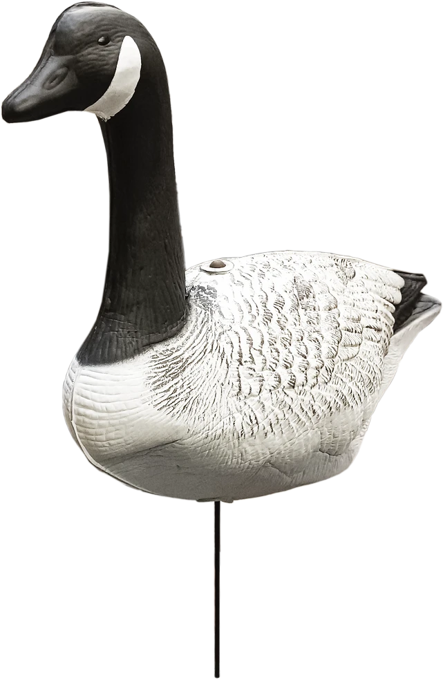 Besk Sodo dekoras Žąsis 61x41x23cm