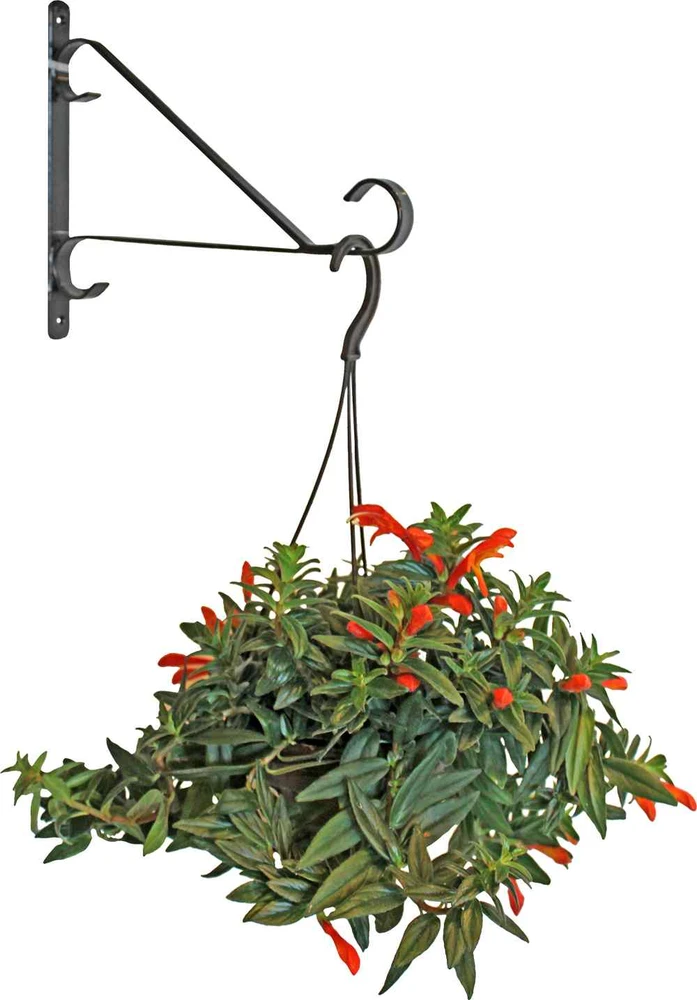 Besk Gėlių vazono laikiklis, sieninis, metalinis 30.5cm