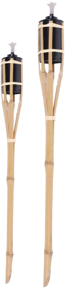 Besk Fakelas bambukinis 90cm