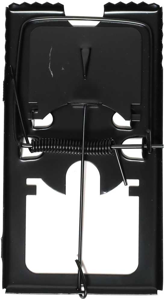 Besk Mousetrap metalinis 1gb