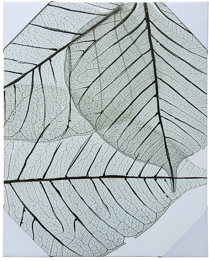 Besk Reprodukcija 40x50 cm