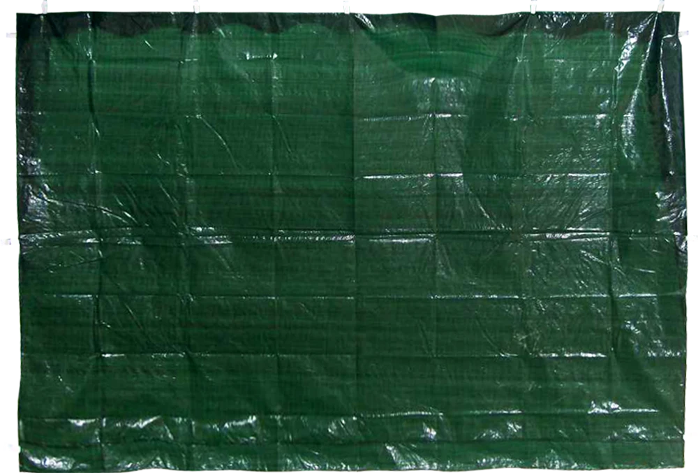 Besk Tentas sieninis 195x290cm žalias