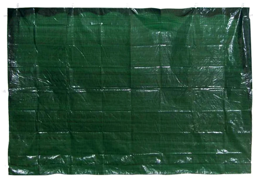 Besk Tentas sieninis 195x290cm žalias