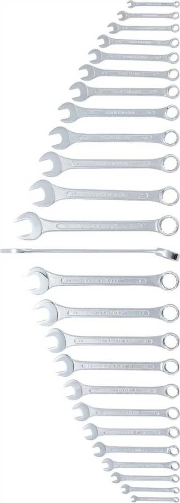 Bgs Technic Kombinuotų raktų rinkinys | 6 - 32 mm | 25 vnt. (1196)