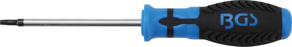 Grąžtas BGS Atsuktuvas Torx su kiauryme – T25 dydis – 100 mm ašmenų ilgis